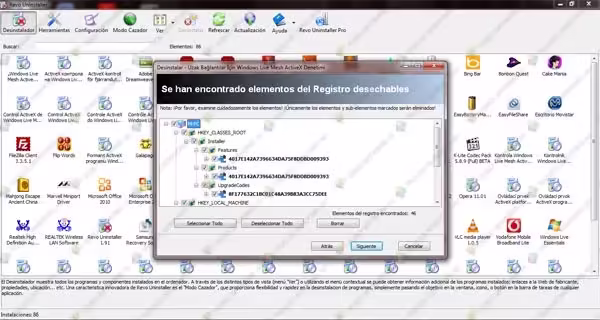 Borrar restos del registro Entradas del registro seleccionadas para borrar en Revo Uninstaller