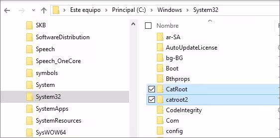 Eliminar carpeta Catroot2