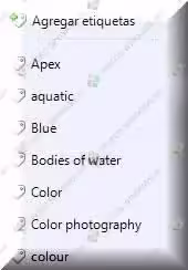 Agregar etiqueta en la galería fotográfica de Windows