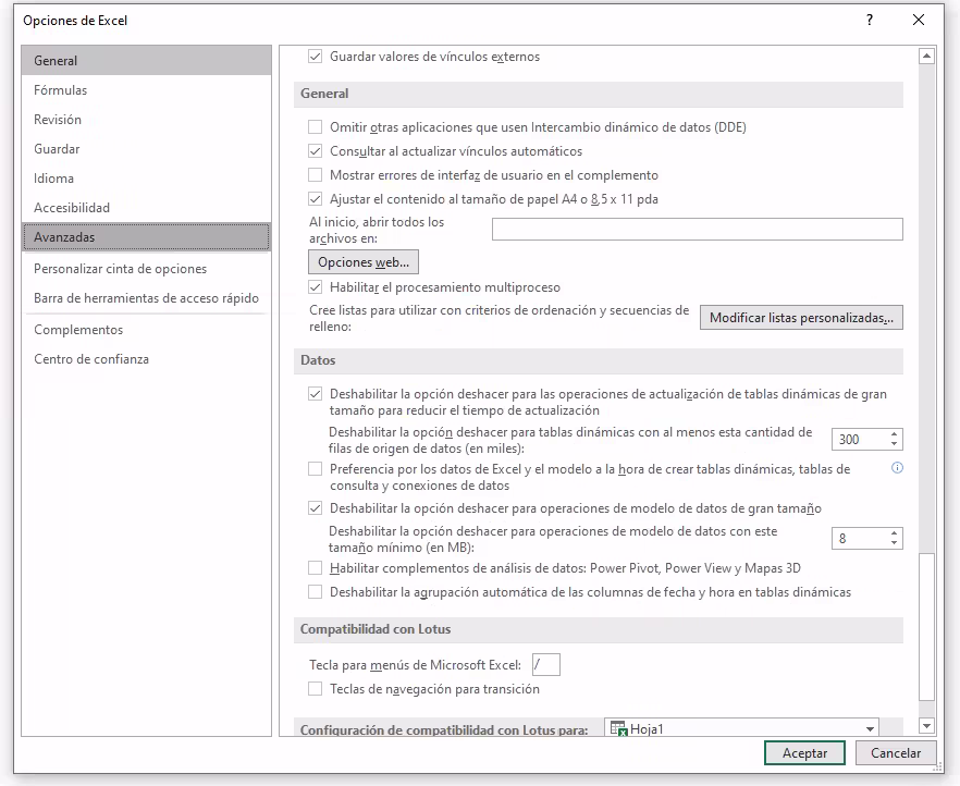 Captura imagen de Ajustes avanzados en Excel
