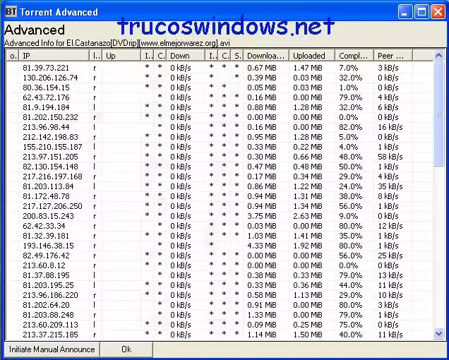 Torrent advanced - IP, seed, peer... Torrent advanced - IP, seed, peer...