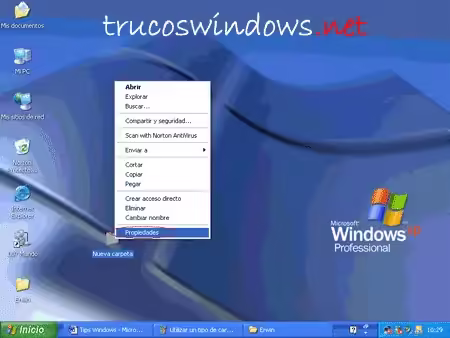 carpeta como plantilla