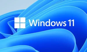 Instalar Windows 11 cualquier PC
