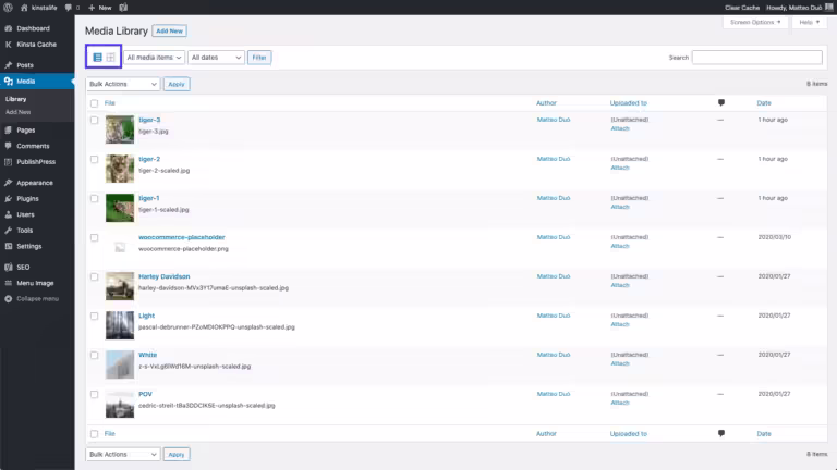 Opciones de vista de la Biblioteca Multimedia de WordPress