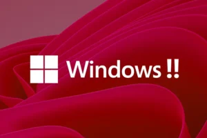 Problema Windows 11