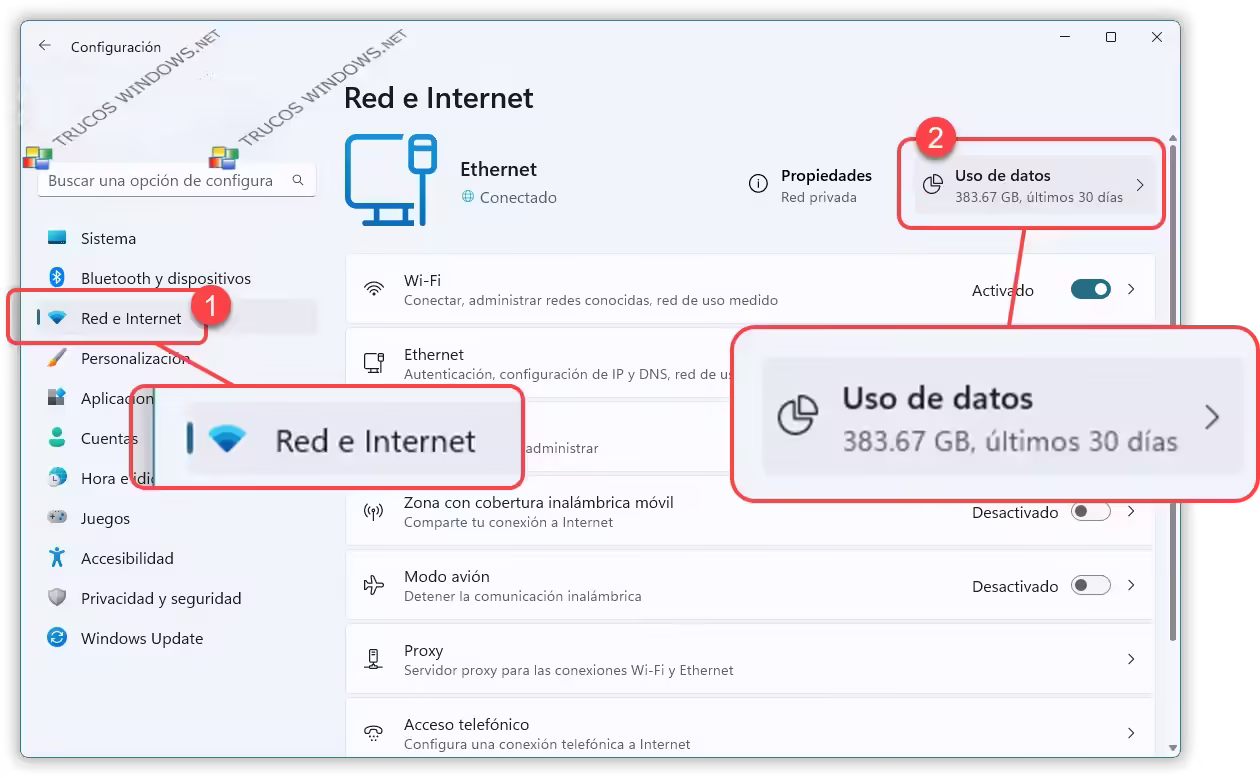 Red e Internet