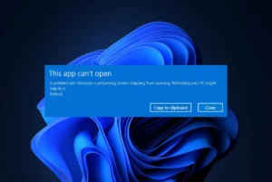 Windows 11 problemas